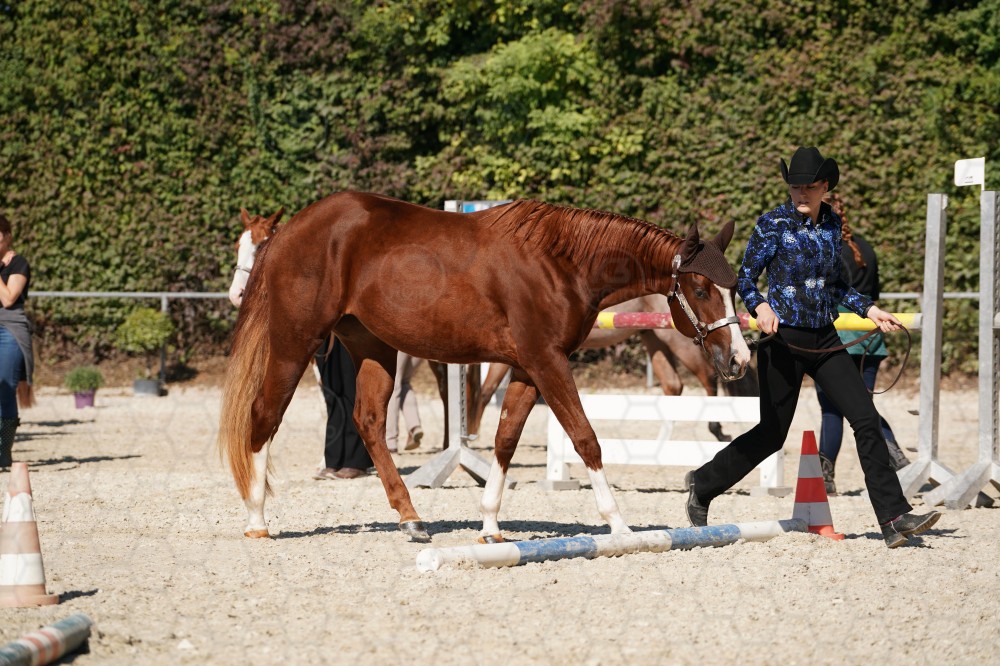 s_A_907461.JPG